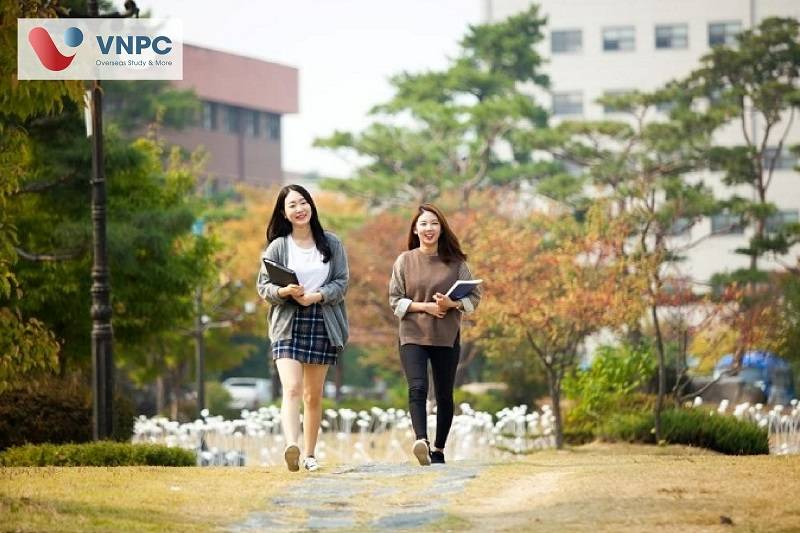 thời gian học 77King 78 trò chơi hấp dẫn ở hàn quốc